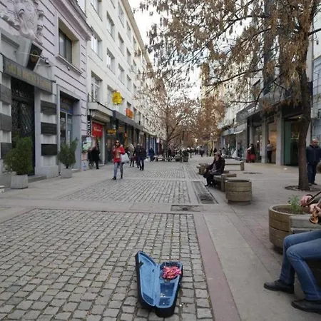 Hostel Deluxe In The Middle Of The Downtown